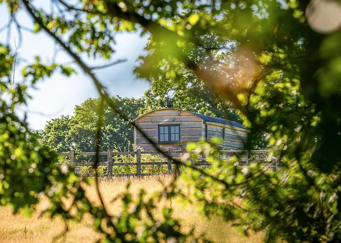 Monkwood Shepherds Hut - Ockeridge Rural Retreats