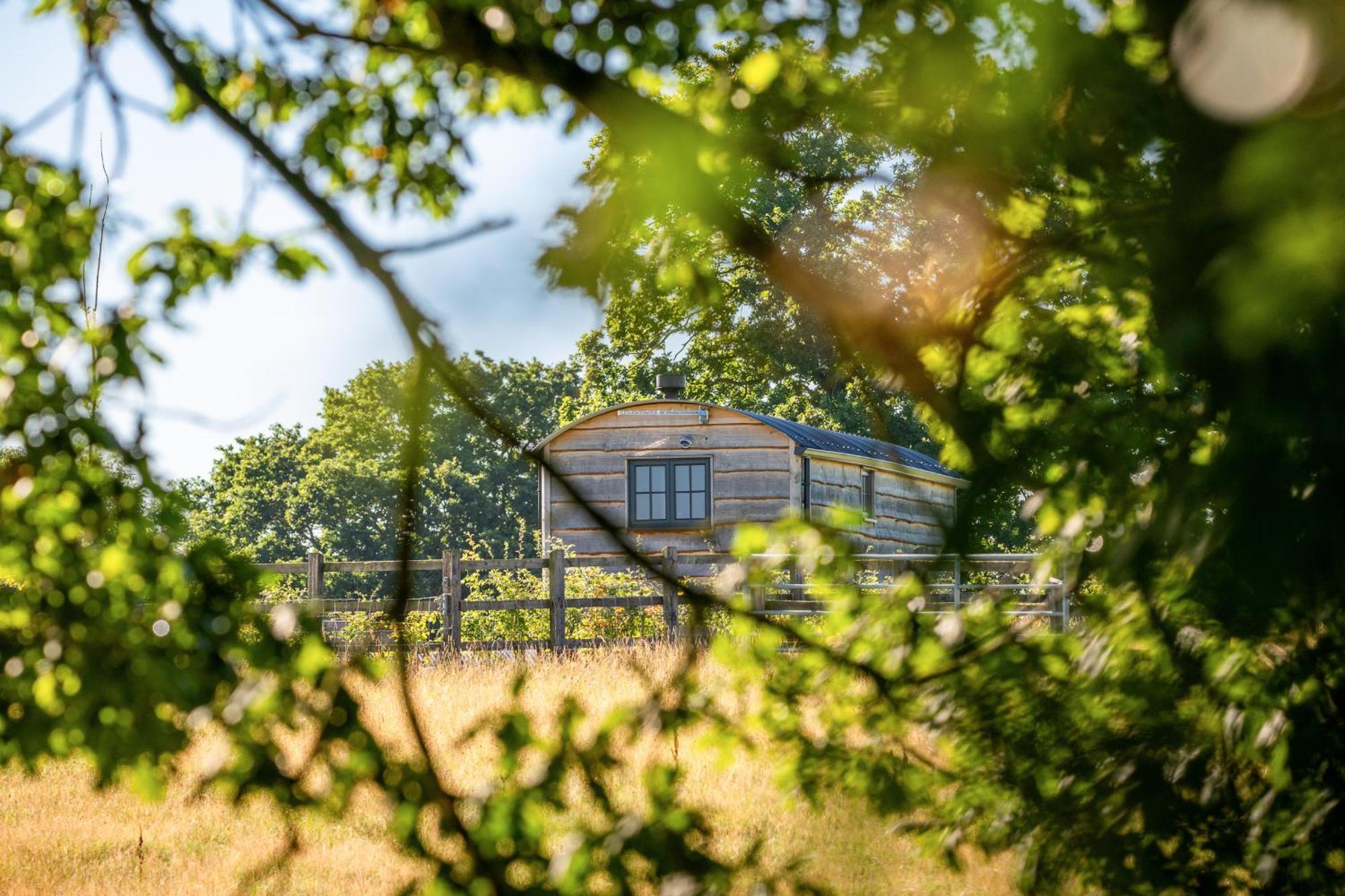 Apartment Monkwood Shepherds Hut - Ockeridge Rural Retreats *